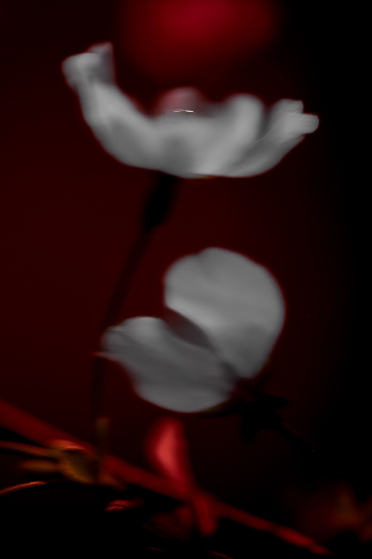 Ignis, No. 02 — Residue, archival pigment print by Fegg Mou