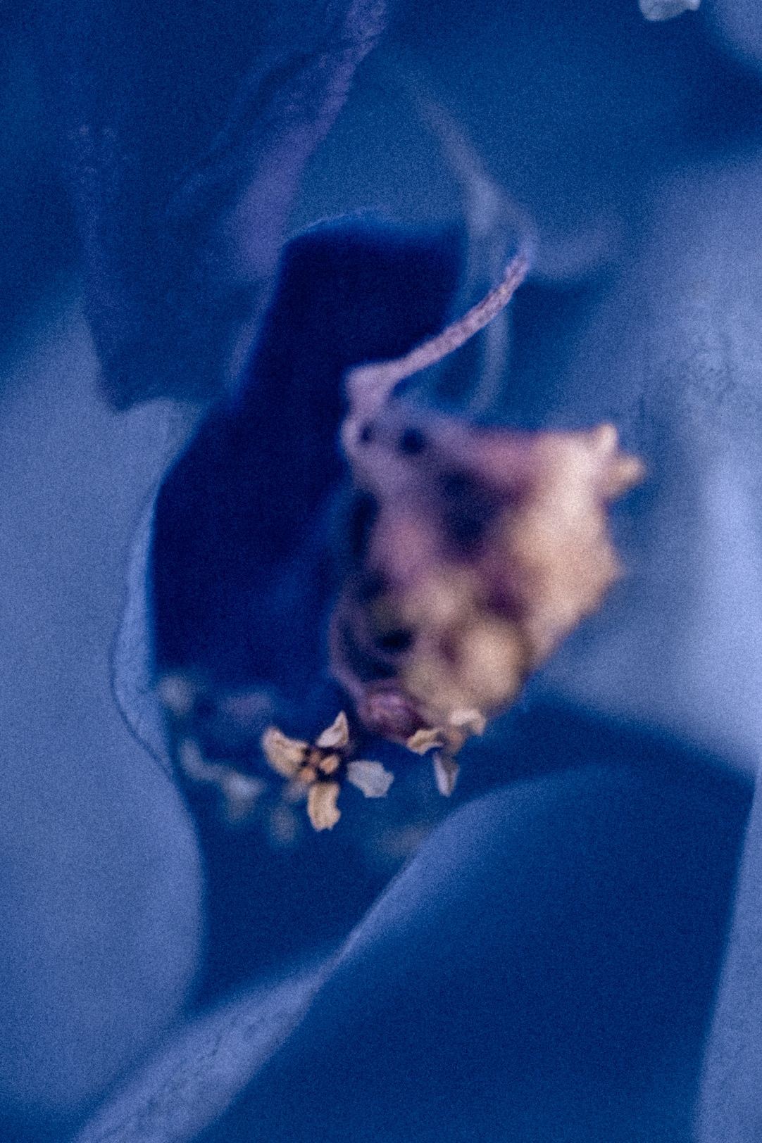 Aqua, No. 06 — Undertow, archival pigment print by Fegg Mou