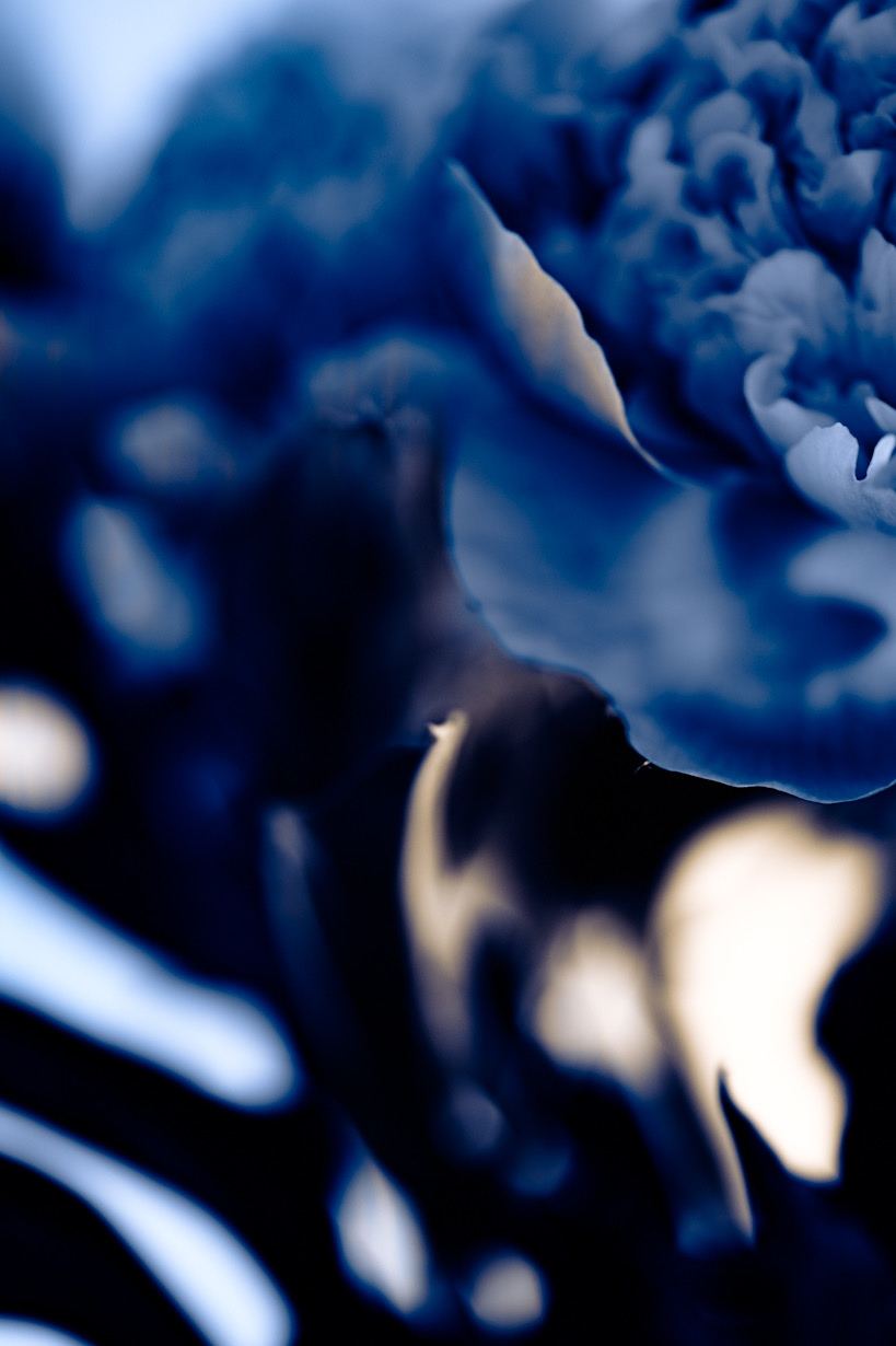 Aqua, No. 09 — Drift, archival pigment print by Fegg Mou
