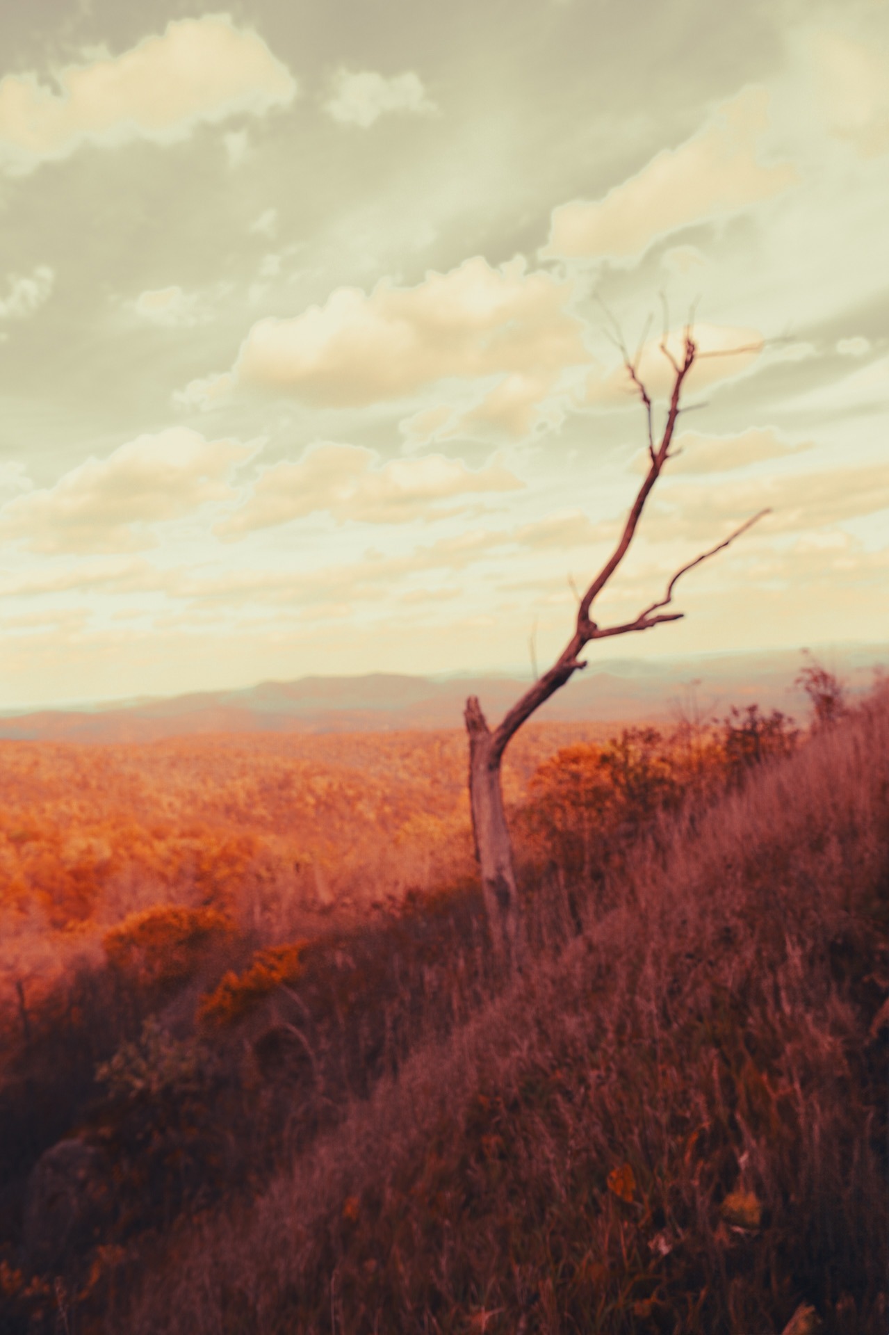 Terra, No. 02 — Mineral Sitter, archival pigment print by Fegg Mou