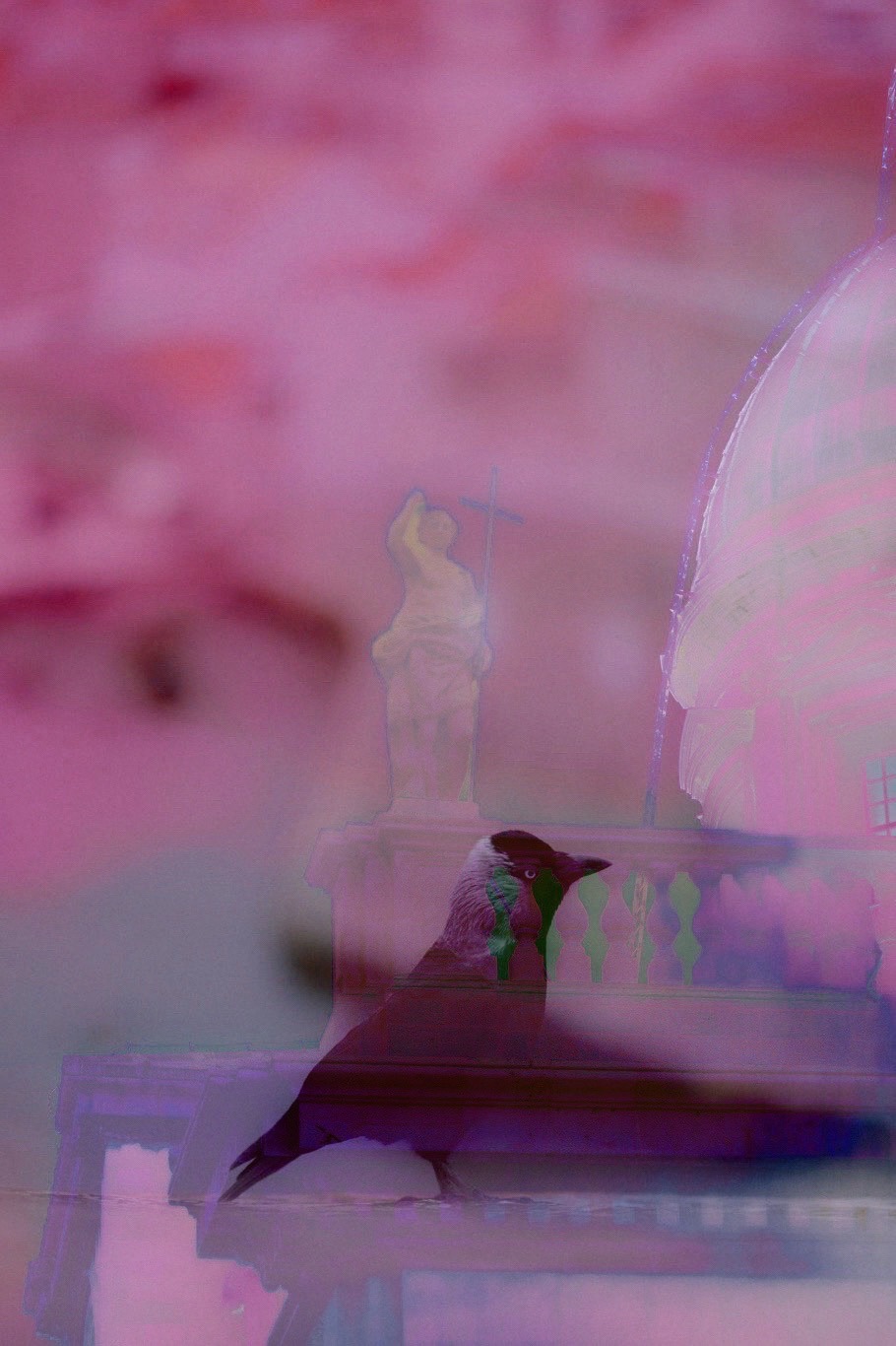Terra, No. 03 — What Remains, archival pigment print by Fegg Mou